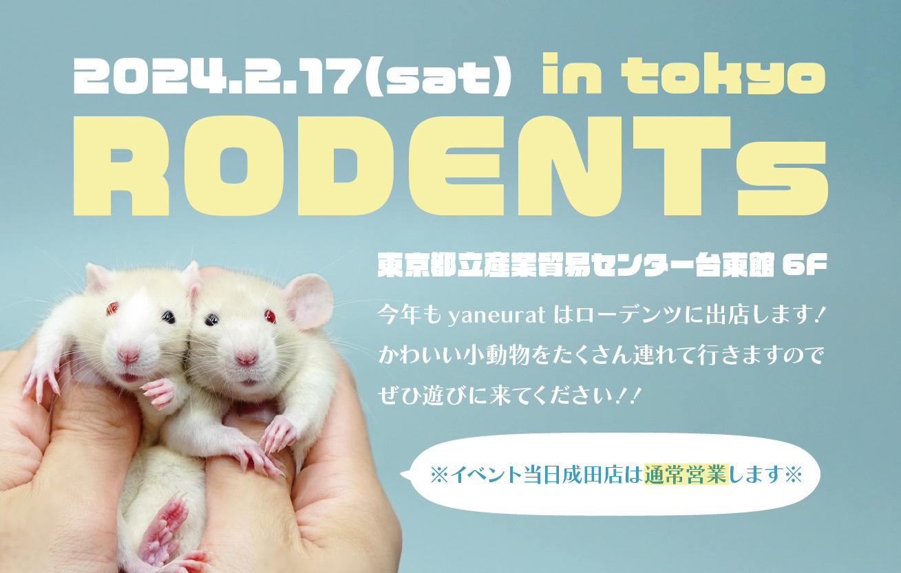 2024年2月17日(土)RODENTs東京出店のお知らせ