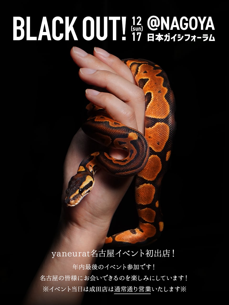 12月17日(日)BLACK OUT!名古屋出店のお知らせ