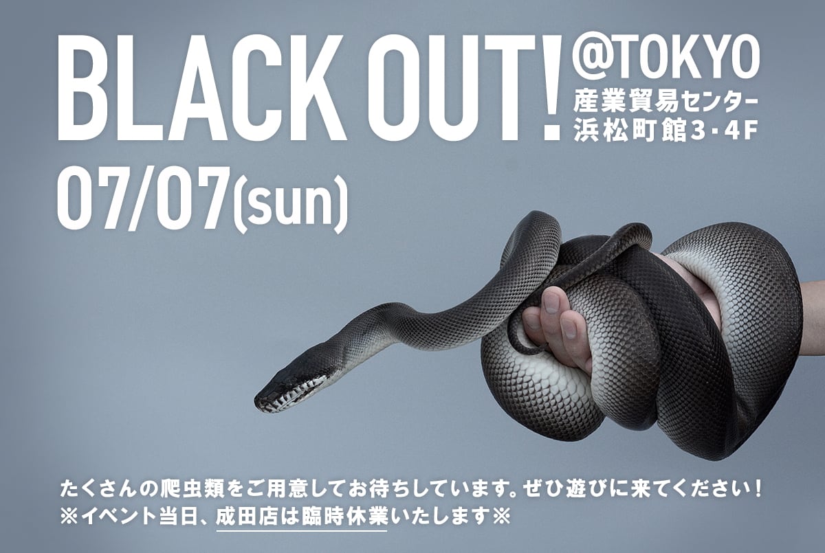 2024年7月7日(日)BLACK OUT!東京出店のお知らせ